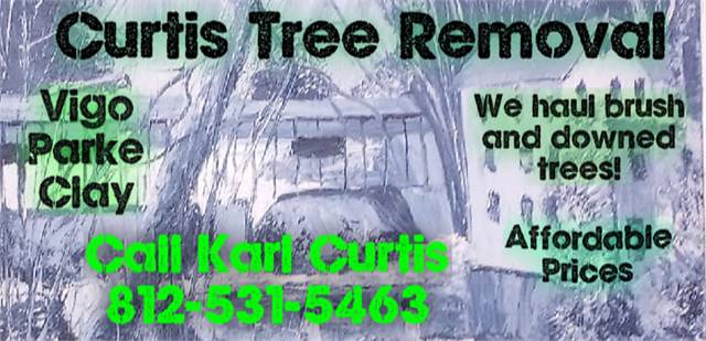 Curtis Tree Removal Services