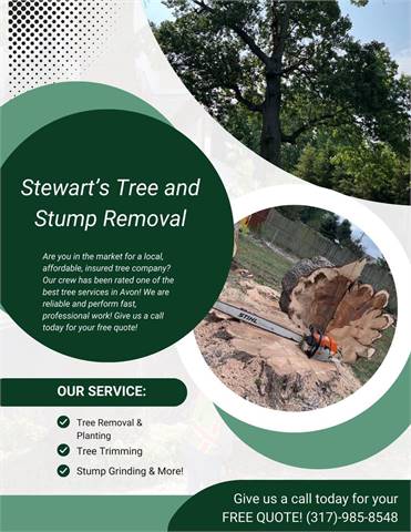 Stewarts Tree and Stump Removal 